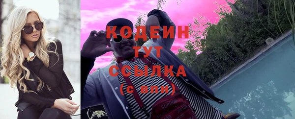 шишки Ельня