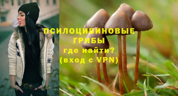 МДМА Лихославль