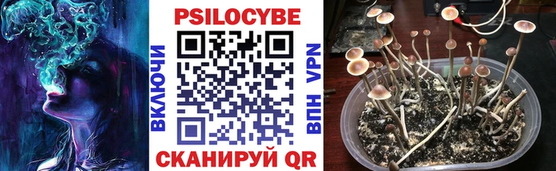 Галлюциногенные грибы Cubensis цены Заринск
