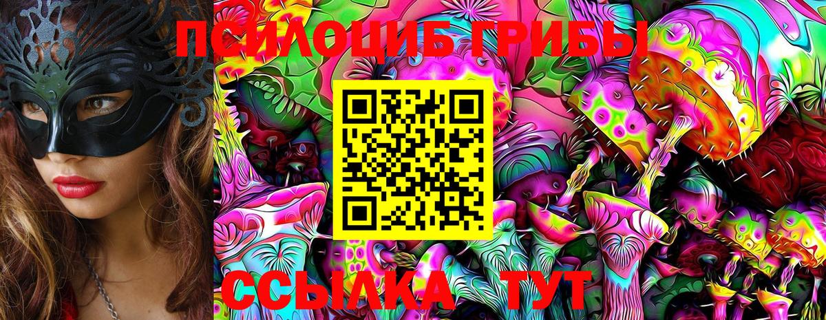 Галлюциногенные грибы Psilocybine cubensis  Вход с VPN  Псилоцибиновые грибы ЛСД  Заринск 