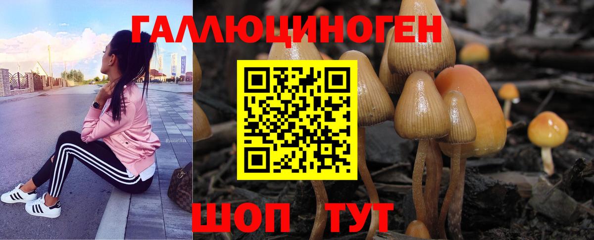 Галлюциногенные грибы мицелий Заринск
